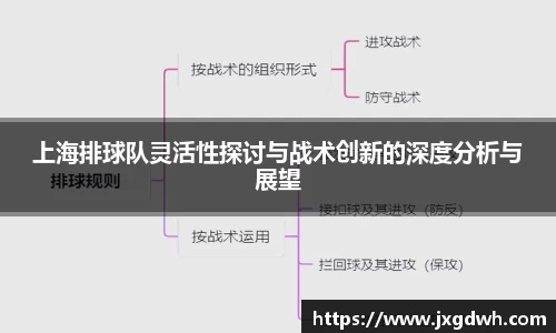 上海排球队灵活性探讨与战术创新的深度分析与展望